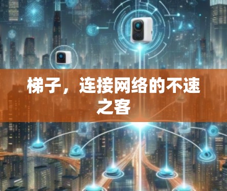梯子，连接网络的不速之客