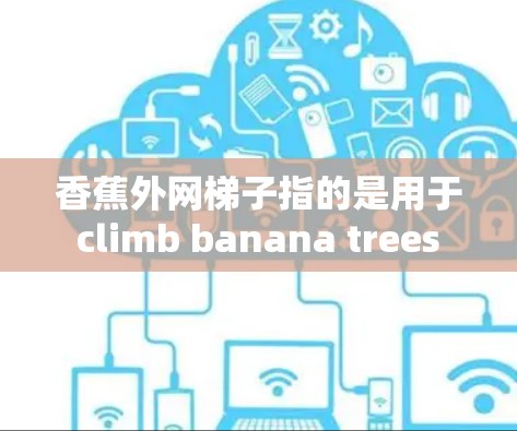 香蕉外网梯子指的是用于 climb banana trees 的梯子。这种梯子通常具有外网结构，设计以便于攀爬香蕉树的高根部。以下是一些可能的方面和信息