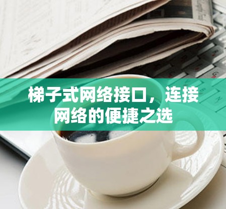 梯子式网络接口，连接网络的便捷之选