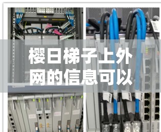 樱日梯子上外网的信息可以分为以下几个方面 樱日梯子上外网的信息可以分为以下几个方面