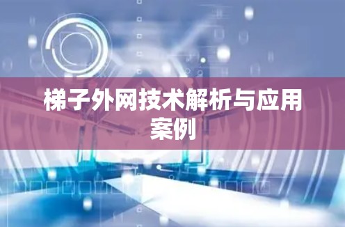 梯子外网技术解析与应用案例