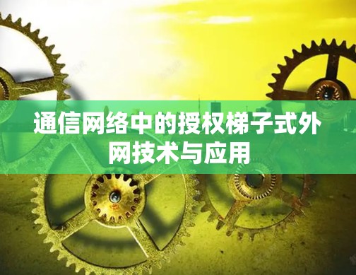通信网络中的授权梯子式外网技术与应用 通信网络中的授权梯子式外网技术与应用