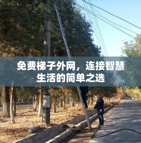 免费梯子外网,连接智慧生活的简单之选 免费梯子外网,连接智慧生活的简单之选