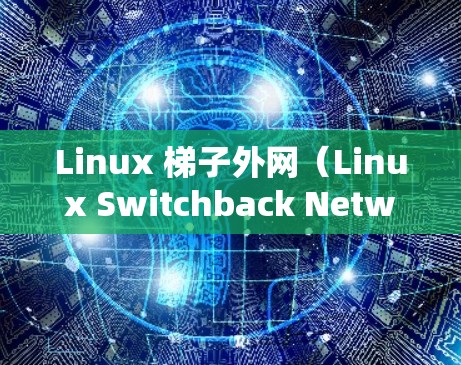 Linux 梯子外网（Linux Switchback Network）