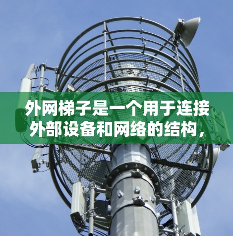 外网梯子是一个用于连接外部设备和网络的结构，通常由端子、导线和插头组成。以下是外网梯子的详细结构和功能