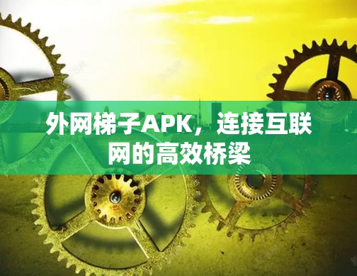 外网梯子APK，连接互联网的高效桥梁