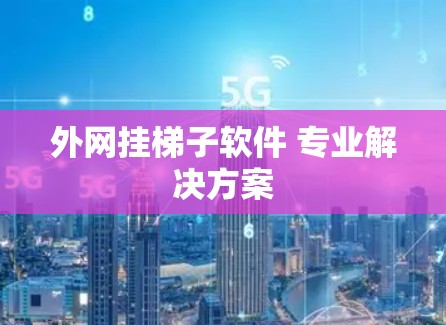 外网挂梯子软件 专业解决方案