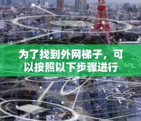 为了找到外网梯子，可以按照以下步骤进行