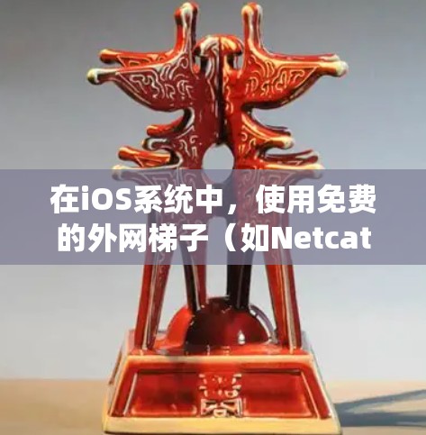 在iOS系统中，使用免费的外网梯子（如Netcat或NAT）来管理网络接口，可以有效地连接外部网络到内部网络。以下是一些实用的步骤和方法