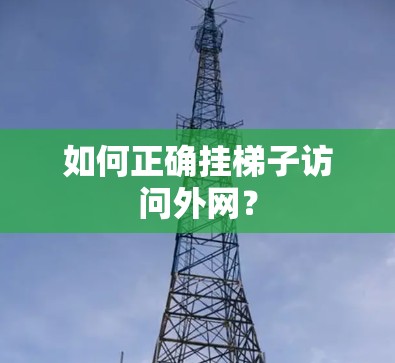 如何正确挂梯子访问外网？