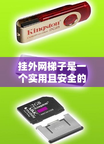 挂外网梯子是一个实用且安全的解决方案，以下是详细的步骤指南