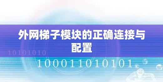外网梯子模块的正确连接与配置
