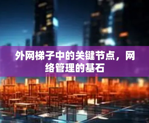 外网梯子中的关键节点，网络管理的基石