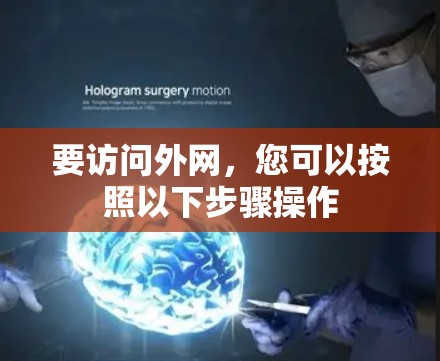 要访问外网，您可以按照以下步骤操作