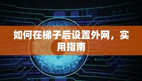 如何在梯子后设置外网，实用指南