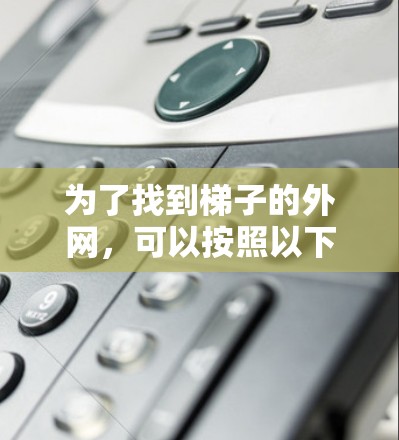 为了找到梯子的外网，可以按照以下步骤进行