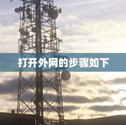 打开外网的步骤如下