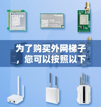 为了购买外网梯子，您可以按照以下步骤进行