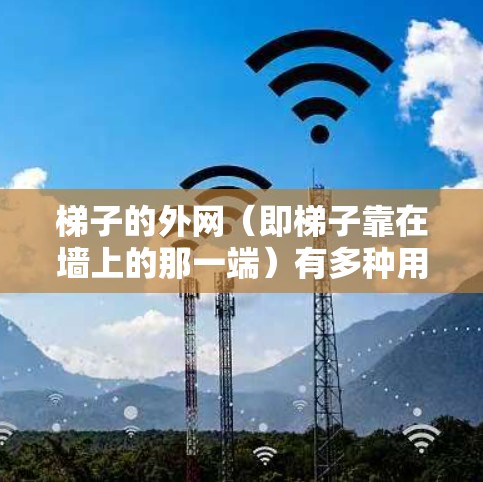 梯子的外网（即梯子靠在墙上的那一端）有多种用途，主要体现在以下几个方面