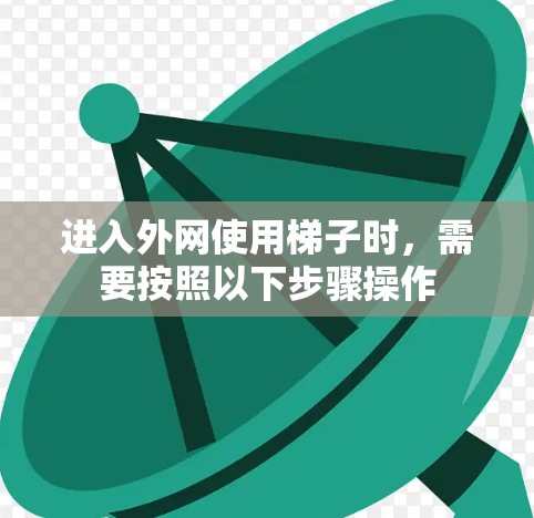进入外网使用梯子时，需要按照以下步骤操作