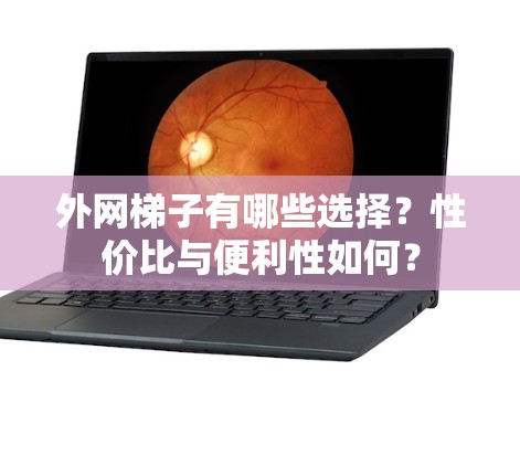 外网梯子有哪些选择？性价比与便利性如何？