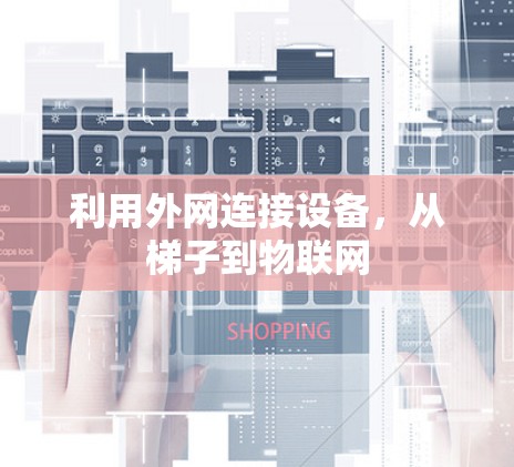 利用外网连接设备，从梯子到物联网