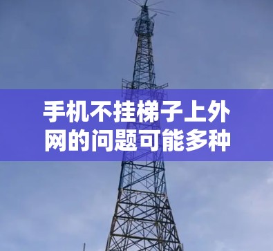 手机不挂梯子上外网的问题可能多种原因，以下是一些可能的原因和解决方法