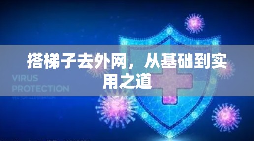 搭梯子去外网,从基础到实用之道 搭梯子去外网,从基础到实用之道