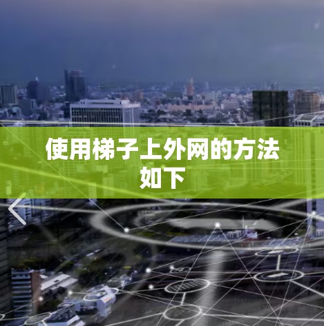 使用梯子上外网的方法如下