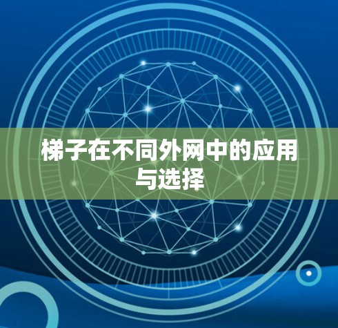 梯子在不同外网中的应用与选择