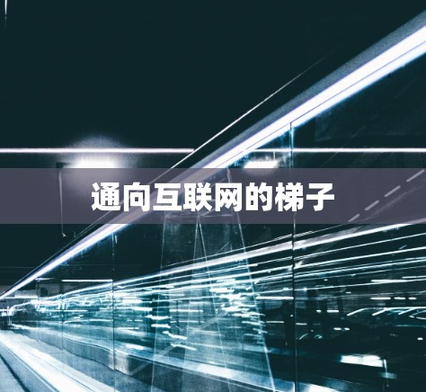 通向互联网的梯子