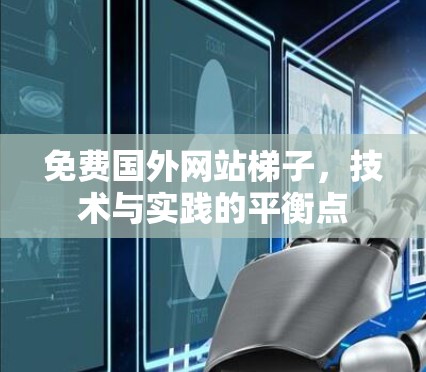 免费国外网站梯子，技术与实践的平衡点