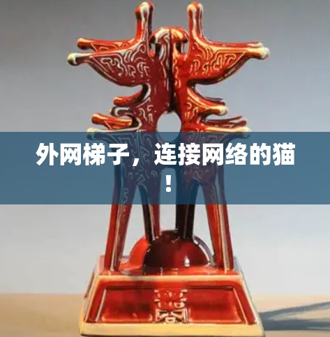 外网梯子,连接网络的猫! 外网梯子,连接网络的猫!