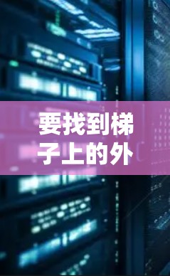 要找到梯子上的外网，可以按照以下步骤进行