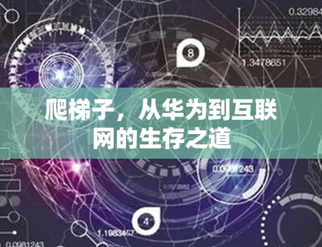 爬梯子,从华为到互联网的生存之道 爬梯子,从华为到互联网的生存之道