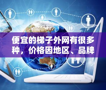 便宜的梯子外网有很多种，价格因地区、品牌和用途而异，通常包括以下几种类型