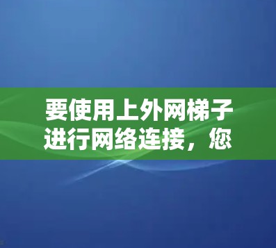 要使用上外网梯子进行网络连接，您可以按照以下步骤操作