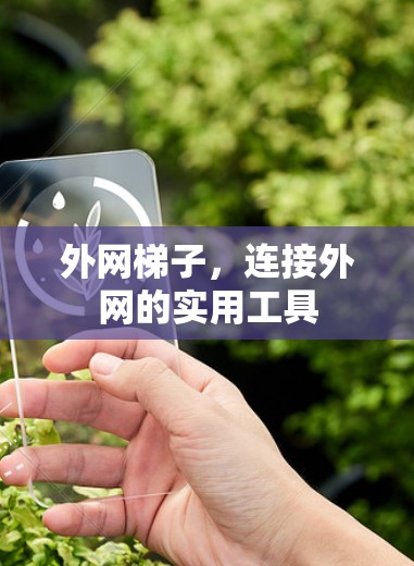 外网梯子，连接外网的实用工具