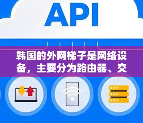 韩国的外网梯子是网络设备，主要分为路由器、交换机和DPS/RDP设备，各有其独特之处。以下是对这些设备的详细分析