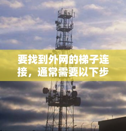 要找到外网的梯子连接，通常需要以下步骤