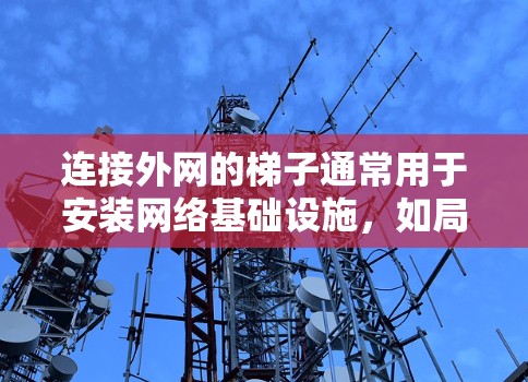 连接外网的梯子通常用于安装网络基础设施，如局域网（LAN）或广域网（GAN）以下是一些推荐的梯子类型及其购买建议