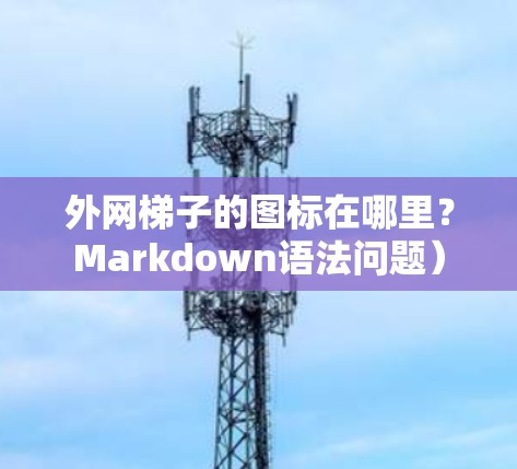 外网梯子的图标在哪里？Markdown语法问题）