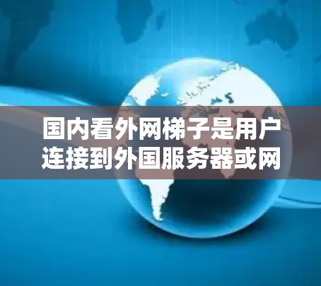 国内看外网梯子是用户连接到外国服务器或网站的网络设备，通常由国内的通信运营商提供。以下是一些主要的国内看外网梯子及其特点