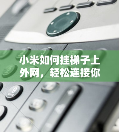小米如何挂梯子上外网，轻松连接你的设备