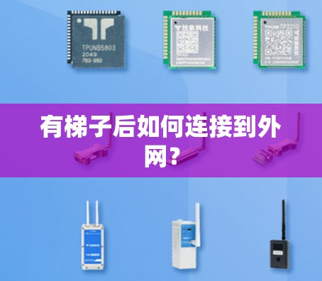 有梯子后如何连接到外网？