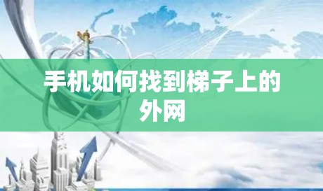 手机如何找到梯子上的外网