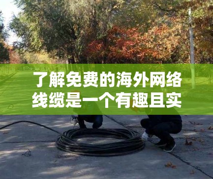 了解免费的海外网络线缆是一个有趣且实用的选择，但需要综合考虑多个因素。以下是详细的步骤指南
