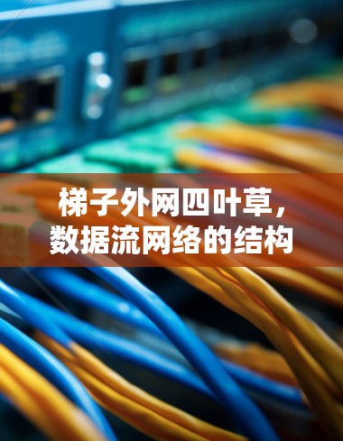 梯子外网四叶草，数据流网络的结构与优化