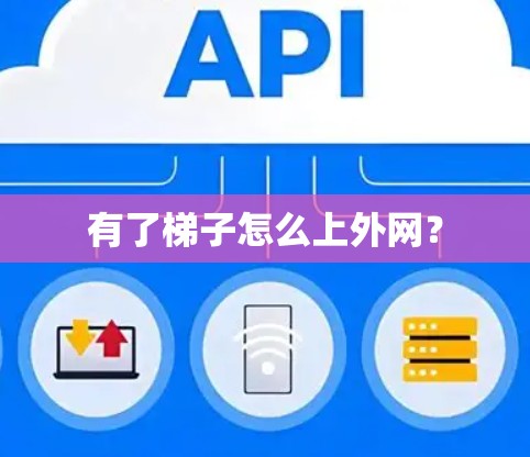 有了梯子怎么上外网？