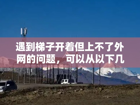 遇到梯子开着但上不了外网的问题,可以从以下几个方面进行排查和解决 遇到梯子开着但上不了外网的问题,可以从以下几个方面进行排查和解决